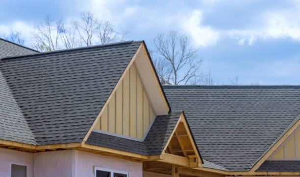 Best Hot Roofs  in West Plains, MO